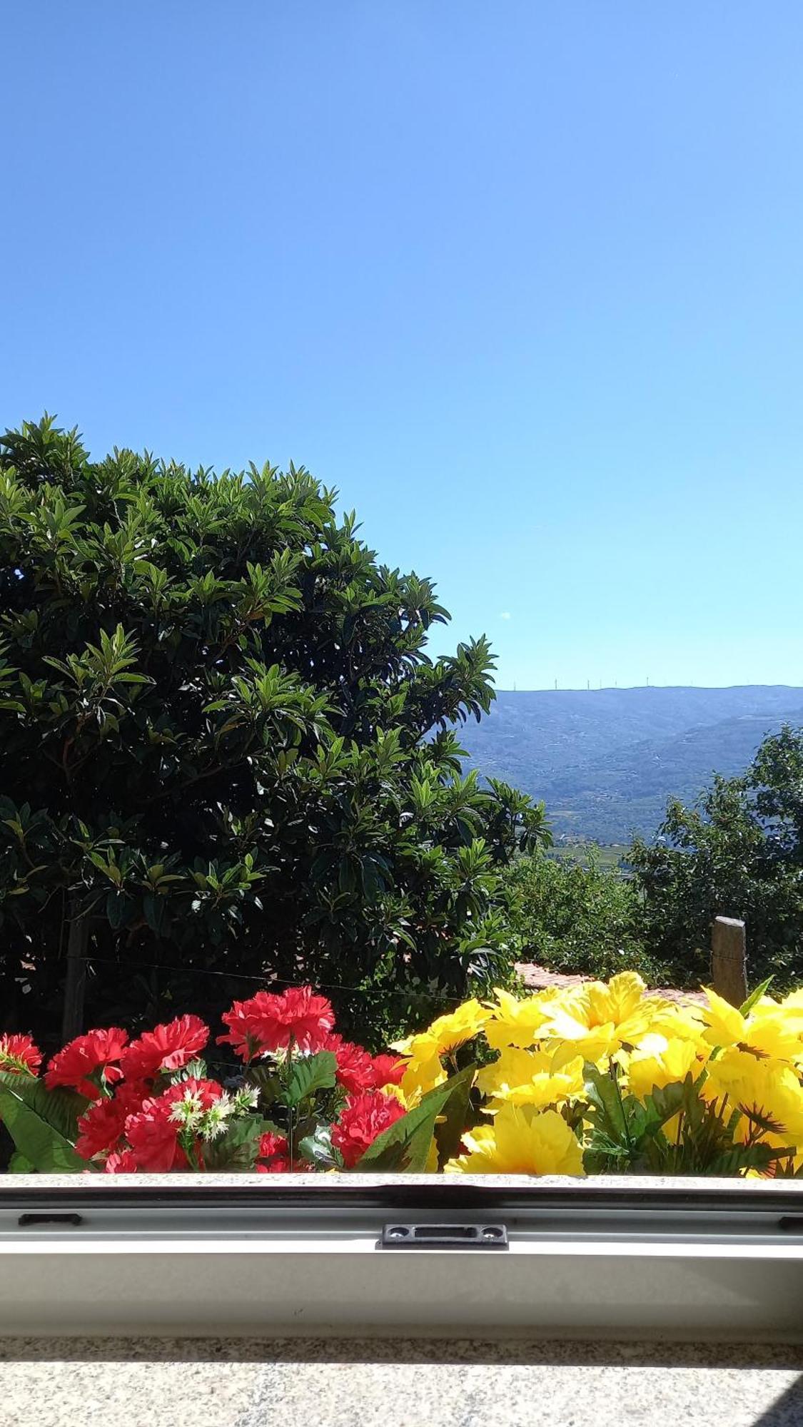 Quinta Da Casa Grande Pinheiro Guest House Baião Екстериор снимка