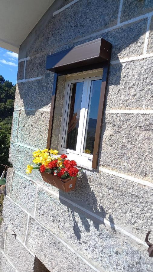 Quinta Da Casa Grande Pinheiro Guest House Baião Екстериор снимка