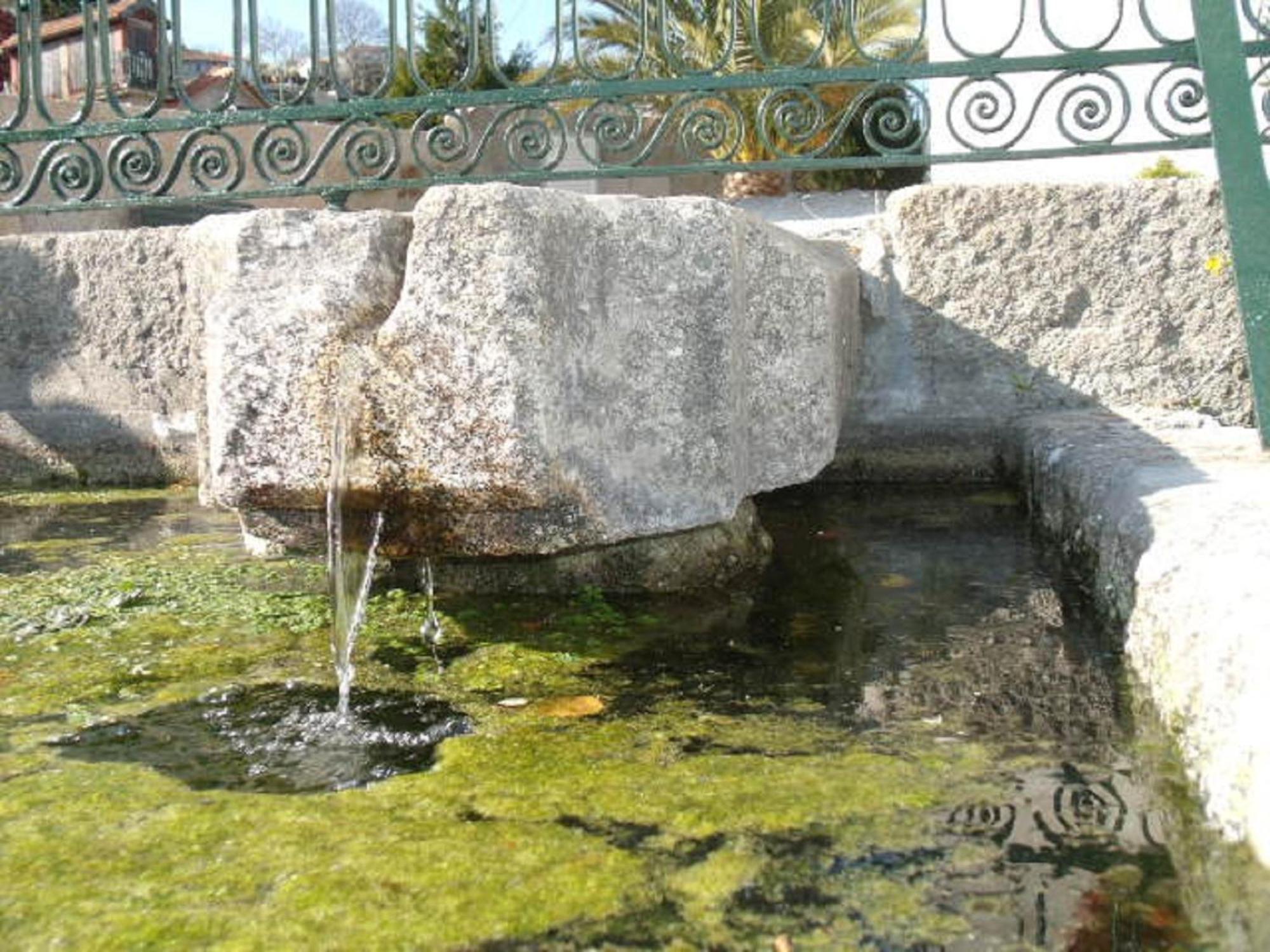 Quinta Da Casa Grande Pinheiro Guest House Baião Екстериор снимка