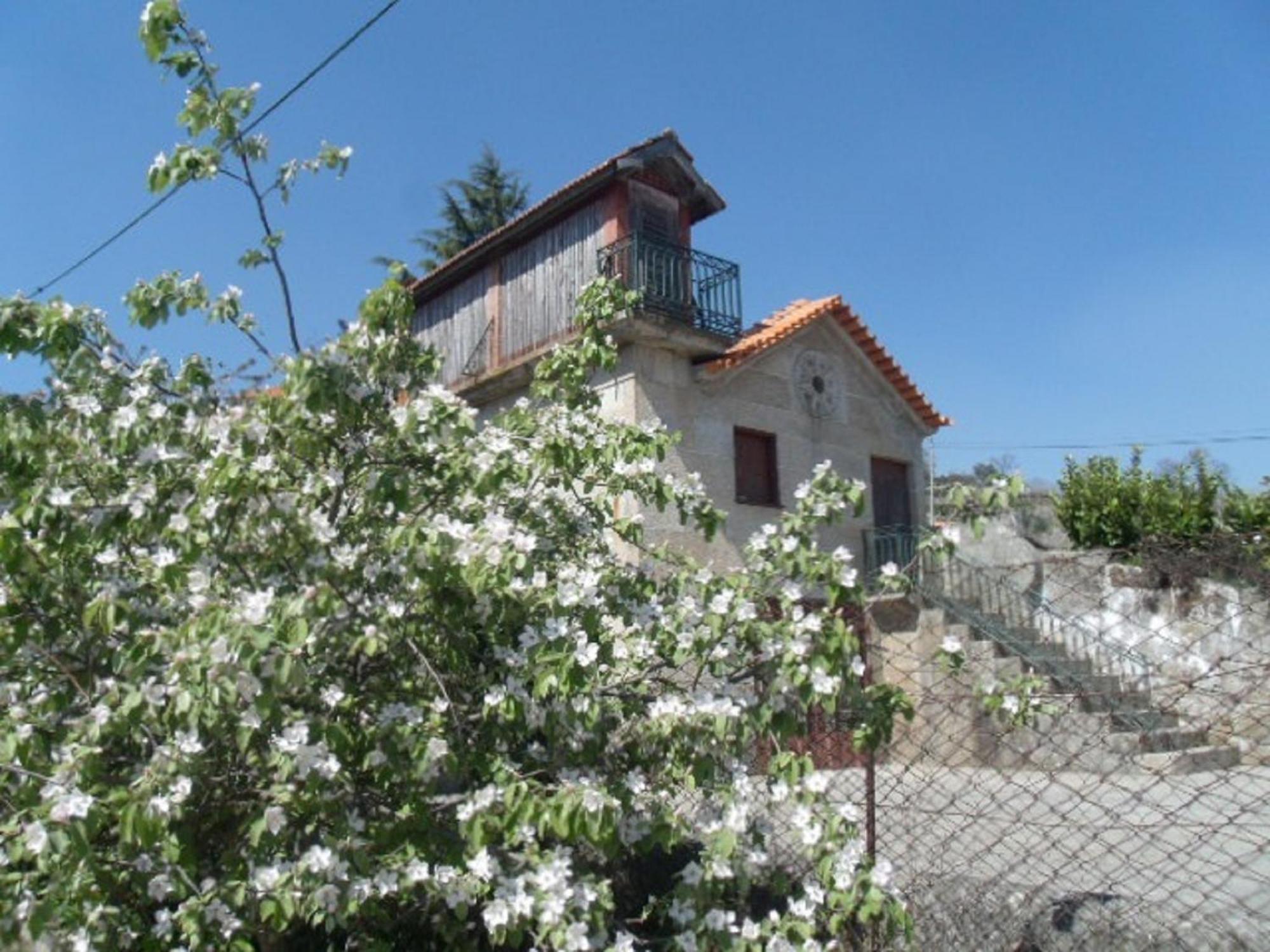 Quinta Da Casa Grande Pinheiro Guest House Baião Екстериор снимка